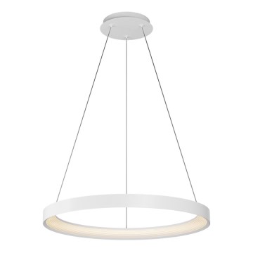 Top Light - Світлодіодна підвісна люстра з регулюванням яскравості ORBIT LED/40W/230V 3000-6500K діаметр 50 см білий + пульт дистанційного керування