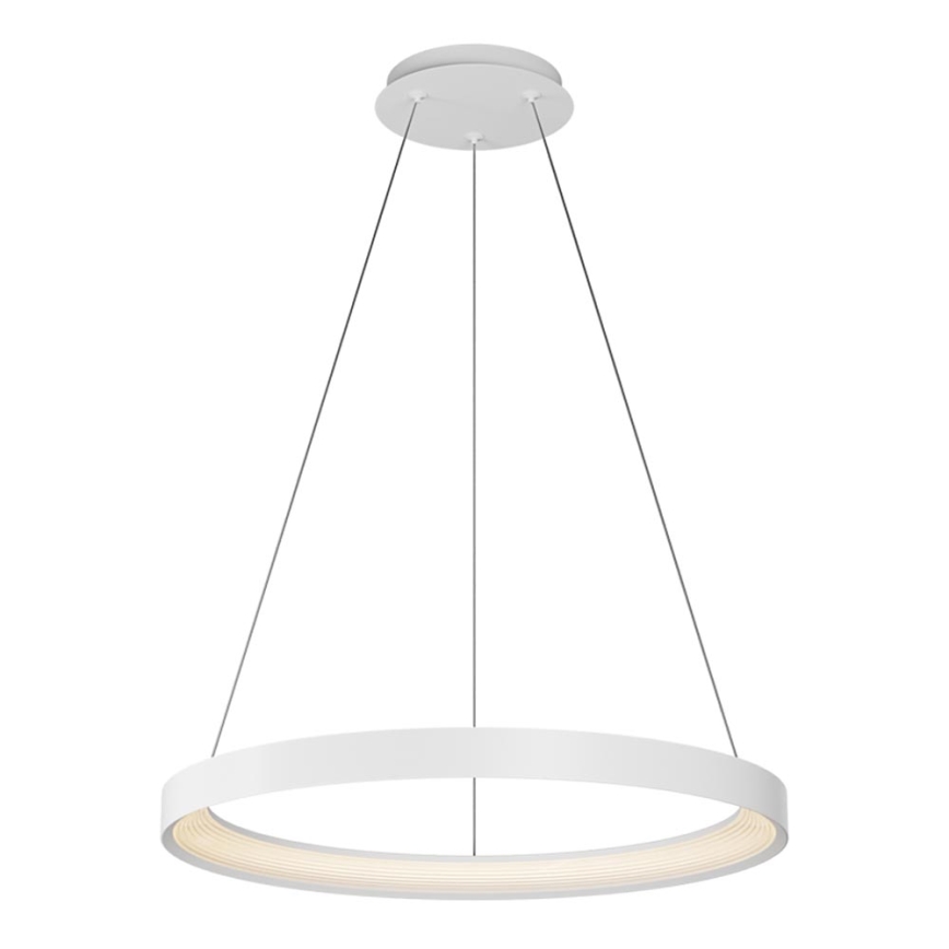 Top Light - Світлодіодна підвісна люстра з регулюванням яскравості ORBIT LED/40W/230V 3000-6500K діаметр 50 см білий + пульт дистанційного керування