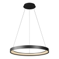 Top Light - Світлодіодна підвісна люстра з регулюванням яскравості ORBIT LED/40W/230V 3000-6500K діаметр 50 см чорний + пульт дистанційного керування