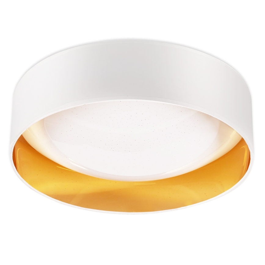 Top Light - Світлодіодний стельовий світильник з регулюванням яскравості IVONA 40B RC LED/24W/230V + пульт дистанційного керування білий