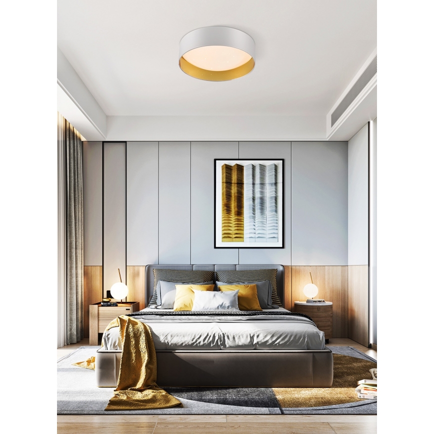 Top Light - Світлодіодний стельовий світильник з регулюванням яскравості IVONA 40B RC LED/24W/230V + пульт дистанційного керування білий