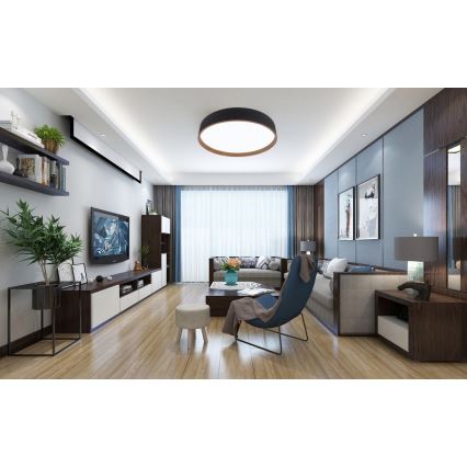 Top Light - Світлодіодний стельовий світильник з регулюванням яскравості DEKOR LED/51W/230V діаметр 50 см 3000-6500K + пульт дистанційного керування