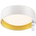 Top Light - Світлодіодний стельовий світильник з регулюванням яскравості IVONA 40B RC LED/24W/230V + пульт дистанційного керування білий