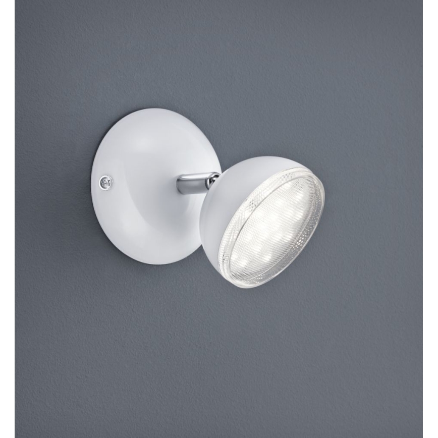 Trio - LED Настінний точковий світильник BOLOU LED/3,8W/230V