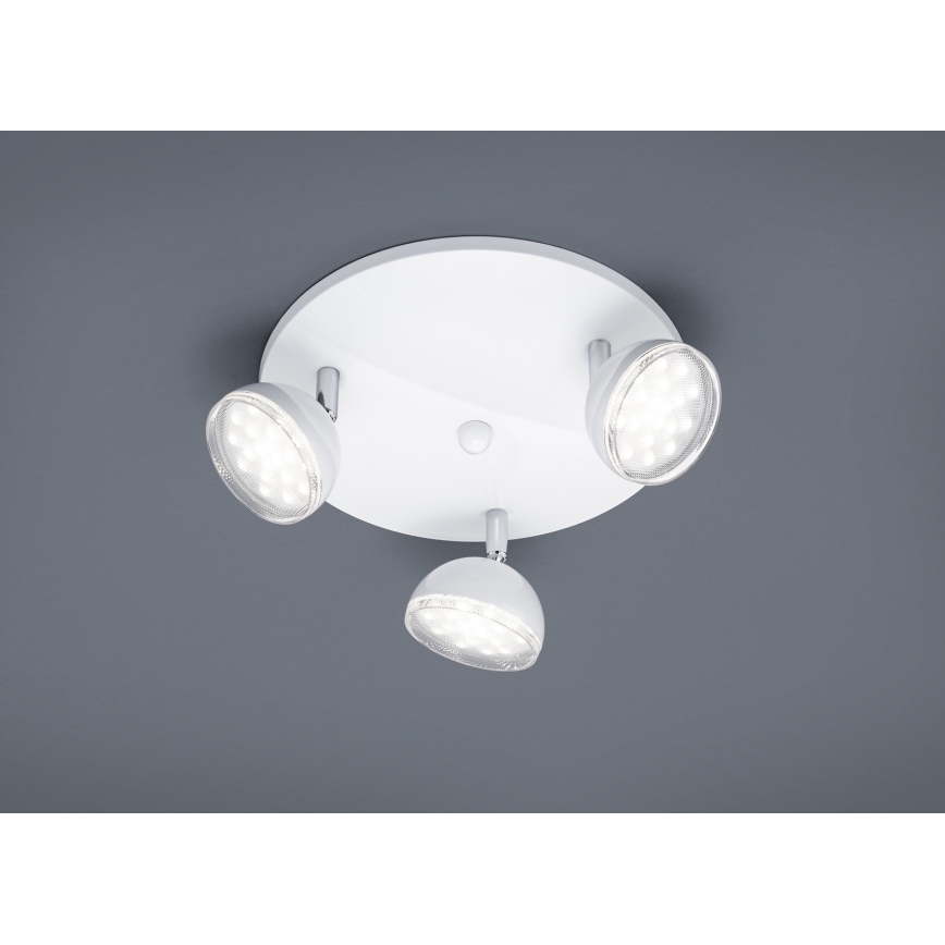 Trio - LED Точковий світильник BOLOU 3xLED/3,8W/230V