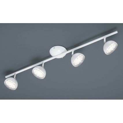 Trio - LED Точковий світильник BOLOU 4xLED/3,8W/230V