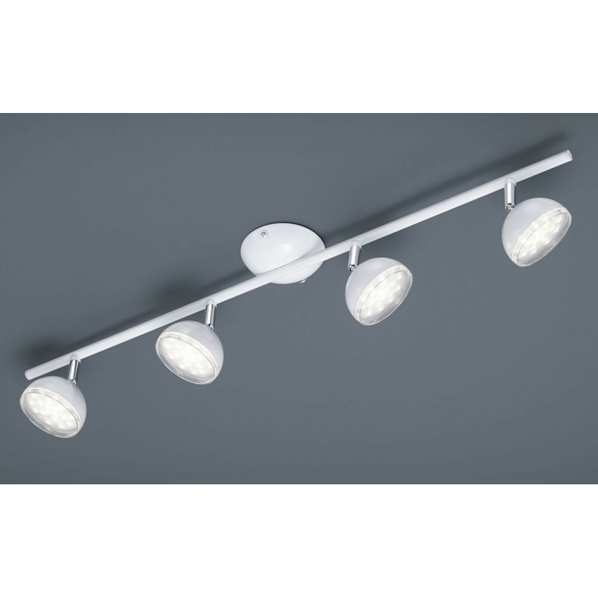 Trio - LED Точковий світильник BOLOU 4xLED/3,8W/230V