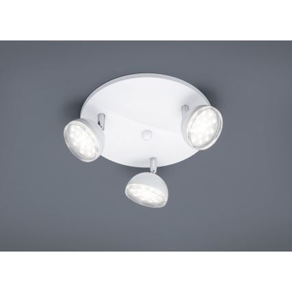 Trio - Светодиодный прожектор BOLOU 3xLED/3,8W/230V