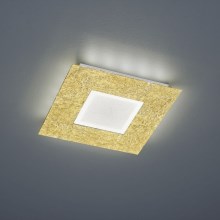 Trio - Светодиодный потолочный светильник CHIROS LED/12W/230V + LED/3,5W