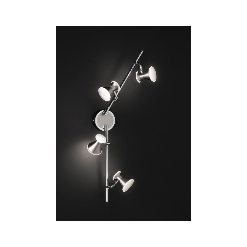 Trio - Точковий LED світильник DUKE 4xLED/4,3W/230V