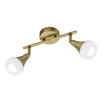 TRIO - Точковий світильник TRUMPET 2xE14/40W/230V