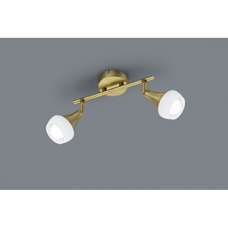 TRIO - Точковий світильник TRUMPET 2xE14/40W/230V