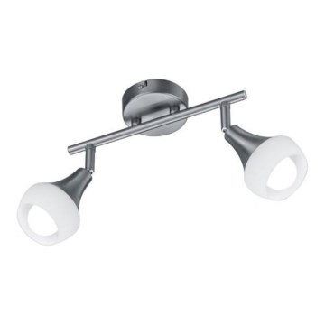 Trio - Точковий світильник TRUMPET 2xE14/40W/230V