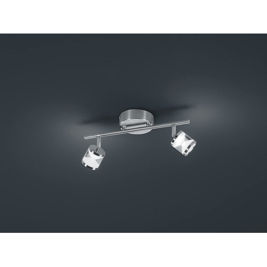 TRIO - Точковий LED світильник CASSINI 2xLED/4,5W/230V