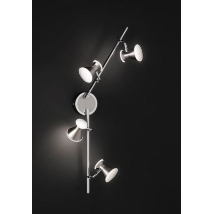 Trio - Точковий LED світильник DUKE 4xLED/4,3W/230V