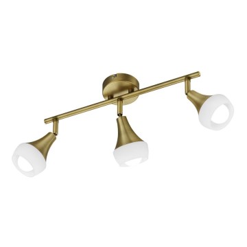 TRIO - Точковий світильник TRUMPET 3xE14/40W/230V