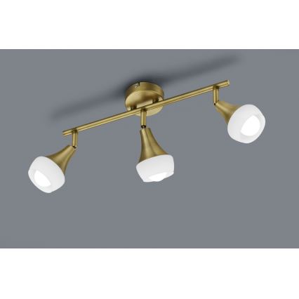 TRIO - Точковий світильник TRUMPET 3xE14/40W/230V