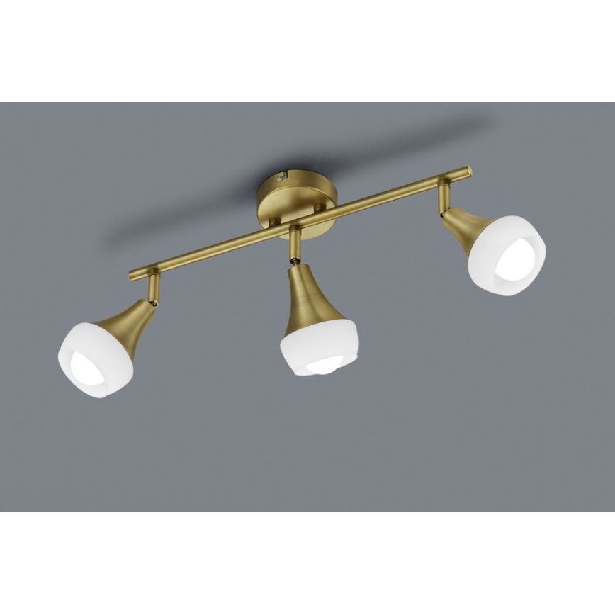 TRIO - Точковий світильник TRUMPET 3xE14/40W/230V