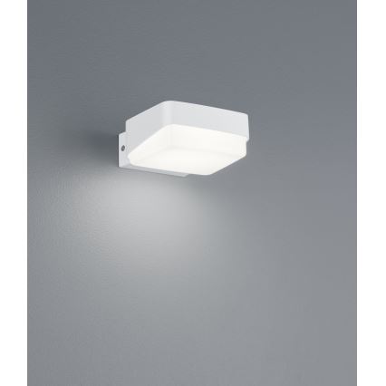 Trio - Вуличний світлодіодний настінний світильник JUBA LED/10W/230V IP65