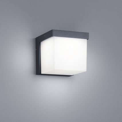 Trio - Вуличний світлодіодний настінний світильник YANGTZE LED/4,5W/230V IP54 3000K