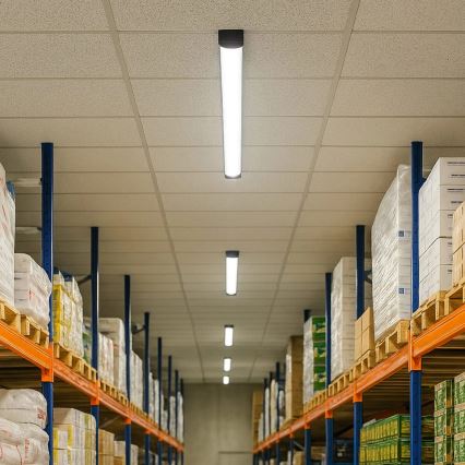 Трубчатый LED-светильник LED/18W/230V 4000K 60 см черный