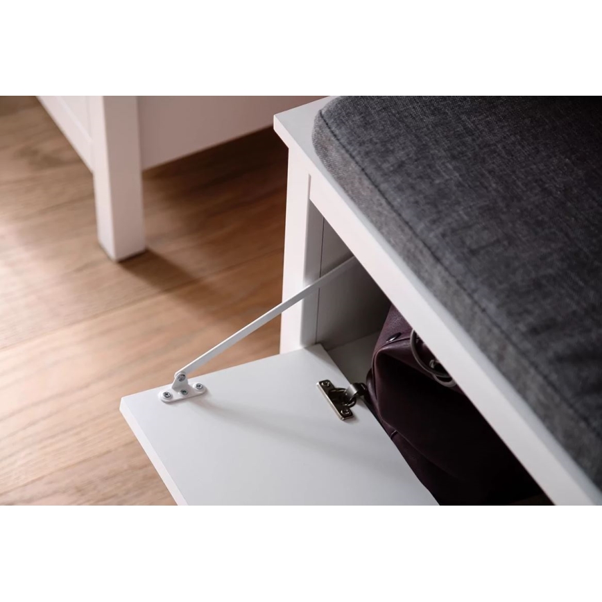 Тумба для взуття FARGE 45x91 см білий