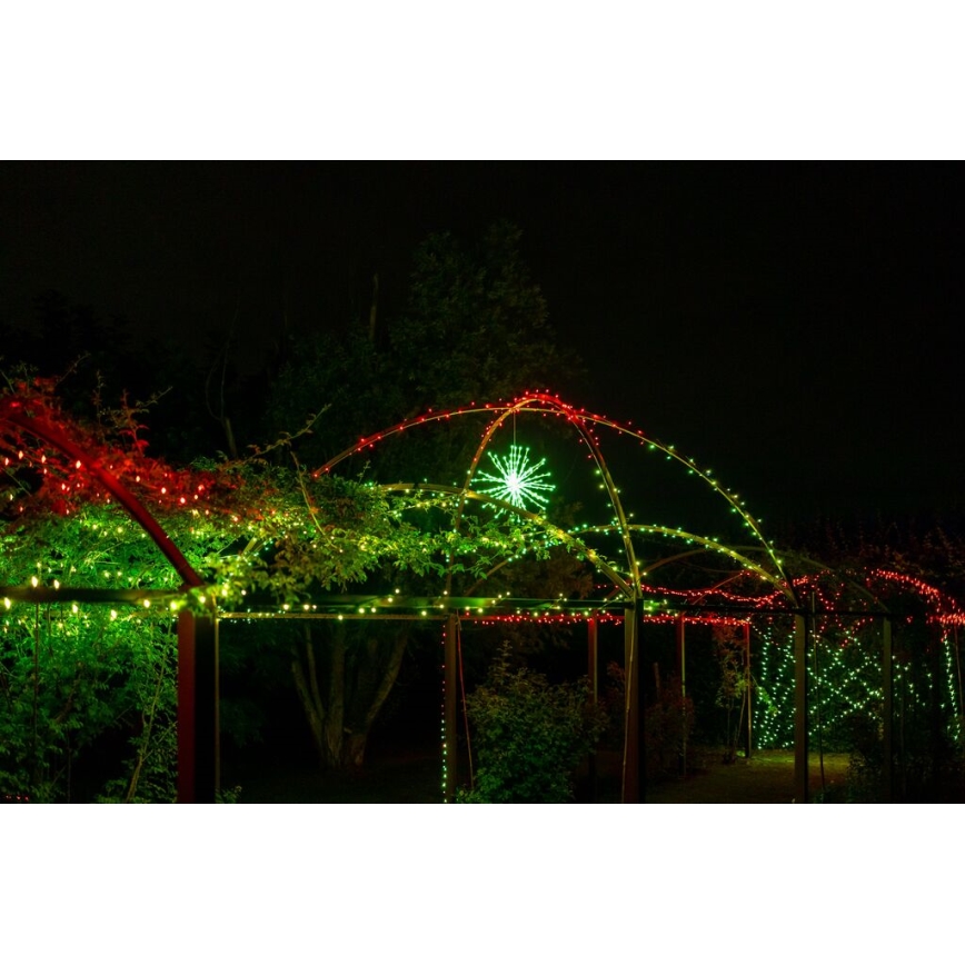 Twinkly - Светодиодная уличная RGB-пуансеттия с регулированием яркости SPRITZER 200xLED IP44 Wi-Fi