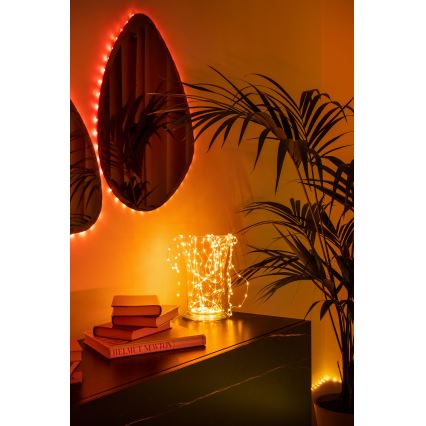 Twinkly - RGB LED різдвяна гірлянда DOTS, 60 світлодіодів, 7 м, USB, Wi-Fi, з можливістю регулювання яскравості