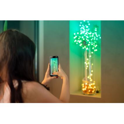 Twinkly - RGB LED гірлянда CANDIES, з регулюванням яскравості, 100 світлодіодів, 8 м, USB, Wi-Fi