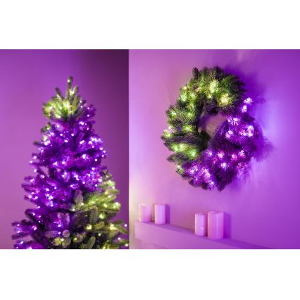 Twinkly - Светодиодный рождественский RGB-венок с регулированием яркости PRE-LIT WREATH 50xLED диаметр 61 см Wi-Fi