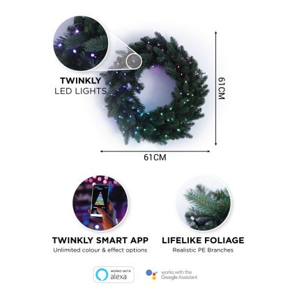 Twinkly - Светодиодный рождественский RGB-венок с регулированием яркости PRE-LIT WREATH 50xLED диаметр 61 см Wi-Fi