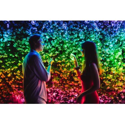 Twinkly - LED RGBW вулична різдвяна гірлянда з регулюванням яскравості STRINGS 250xLED 23,5м IP44 Wi-Fi