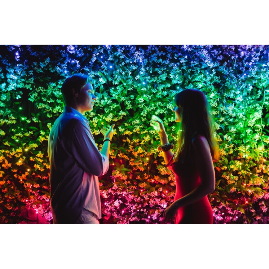 Twinkly - LED RGBW вулична різдвяна гірлянда з регулюванням яскравості STRINGS 250xLED 23,5м IP44 Wi-Fi