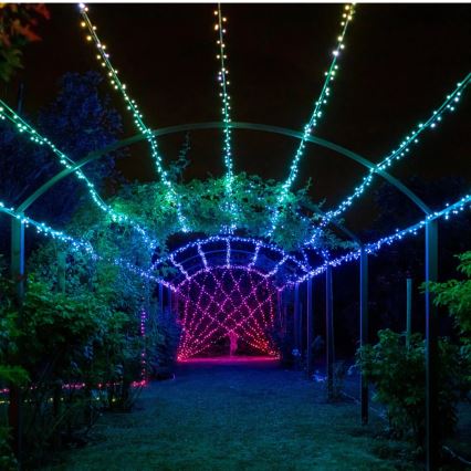 Twinkly - LED RGBW Вулична різдвяна гірлянда з регулюванням яскравості STRINGS 250xLED 23,5м IP44 Wi-Fi