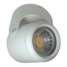 Точечный светильник ARGON 1xGU10/30W/230V белый