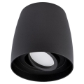 Точечный светильник BESA 1xGU10/30W/230V черная