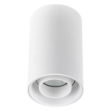 Точечный светильник CHLOE 1xGU10/50W/230V белый