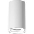 Точечный светильник для ванной комнаты TURYN 1xGU10/10W/230V IP44 белый