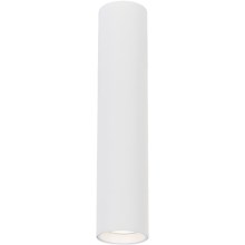Точечный светильник GENESIS 1xGU10/8W/230V 30 см белый