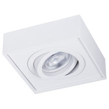 Точечный светильник NUSA 1xGU5,3-MR16/50W/12V квадратный, белый