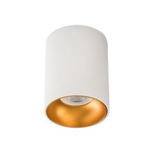 Точечный светильник RITI 1xGU10/10W/230V белый/золотистый