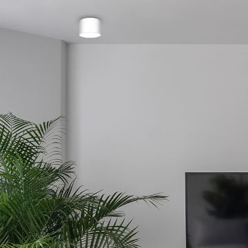 Точковий світильник DIXIE 1xGX53/11W/230V білий