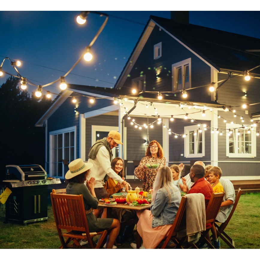 Уличная декоративная гирлянда MIMOSA 10xE27/1,3W/230V IP44 10 м