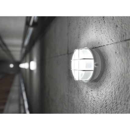 Уличный потолочный светильник 1 x E27 / 100 W / 230 V Red IP44