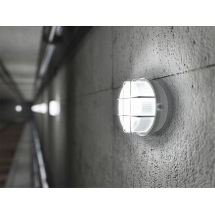 Уличный потолочный светильник 1xE27/100W/230V IP44