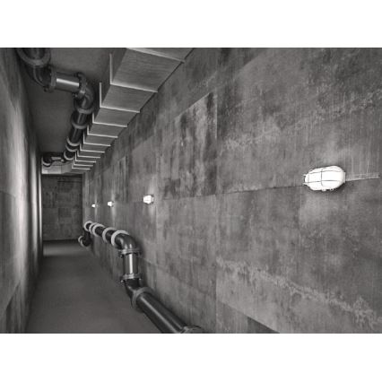 Уличный потолочный светильник OVAL 1xE27/60W/230V IP44 белый