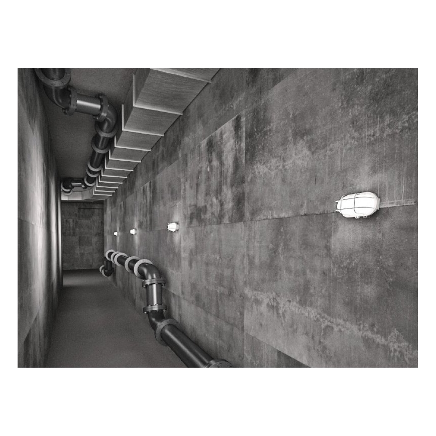 Уличный потолочный светильник OVAL 1xE27/60W/230V IP44 белый