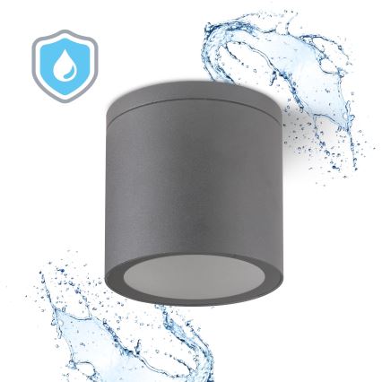 Уличный потолочный светильник QUAZAR 1xGU10/20W/230V IP44