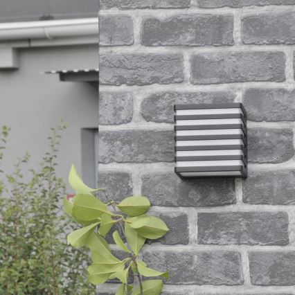 Светодиодный уличный настенный светильник MAXWELL LED/10W/230V IP54 антрацит