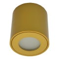 Уличный точечный светильник FARA 1xGU10/30W/230V IP54 золотой